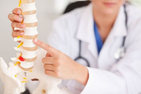 The doctor shows a model of the spine